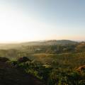 Why Altitude Matters: How Growing Conditions Shape Your Coffee’s Flavour