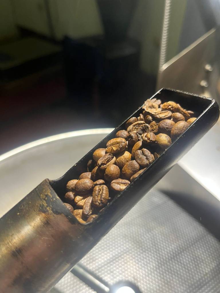 Roasting and testing Peruvian specialty coffee beans for quality and flavour